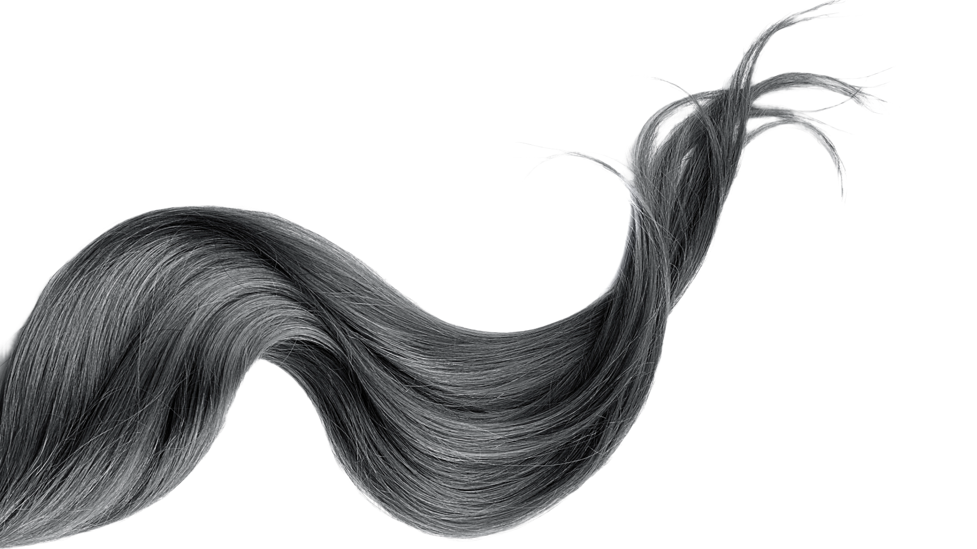 Lucy Scott Hair - Professional styling